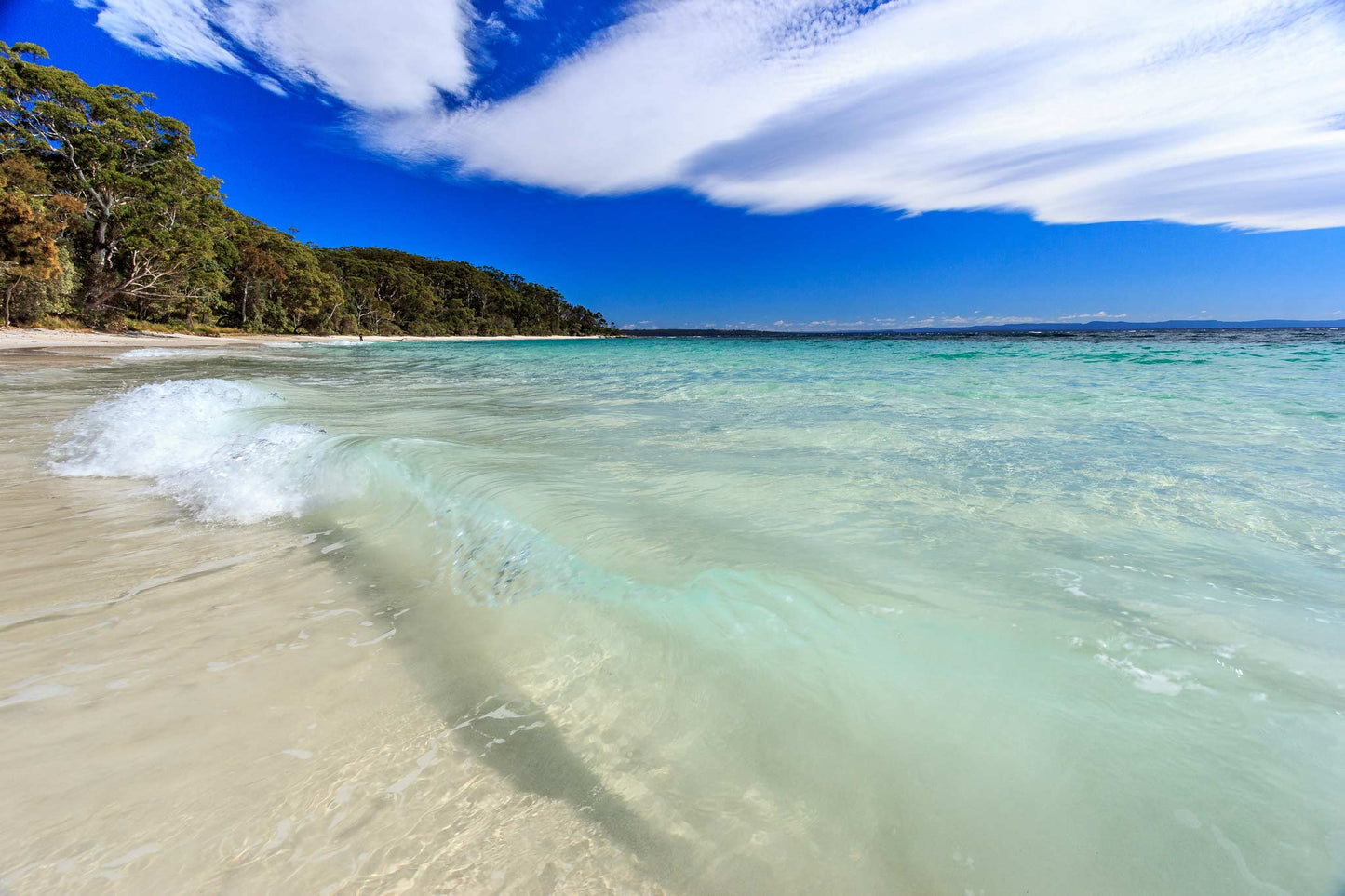 WHITE OCEAN SANDS: Eucalyptus, Geranium, Teakwood, Citrus